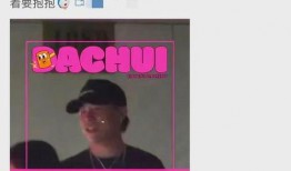 刘大锤最新爆料公众人物,公众人物背后的惊人真相